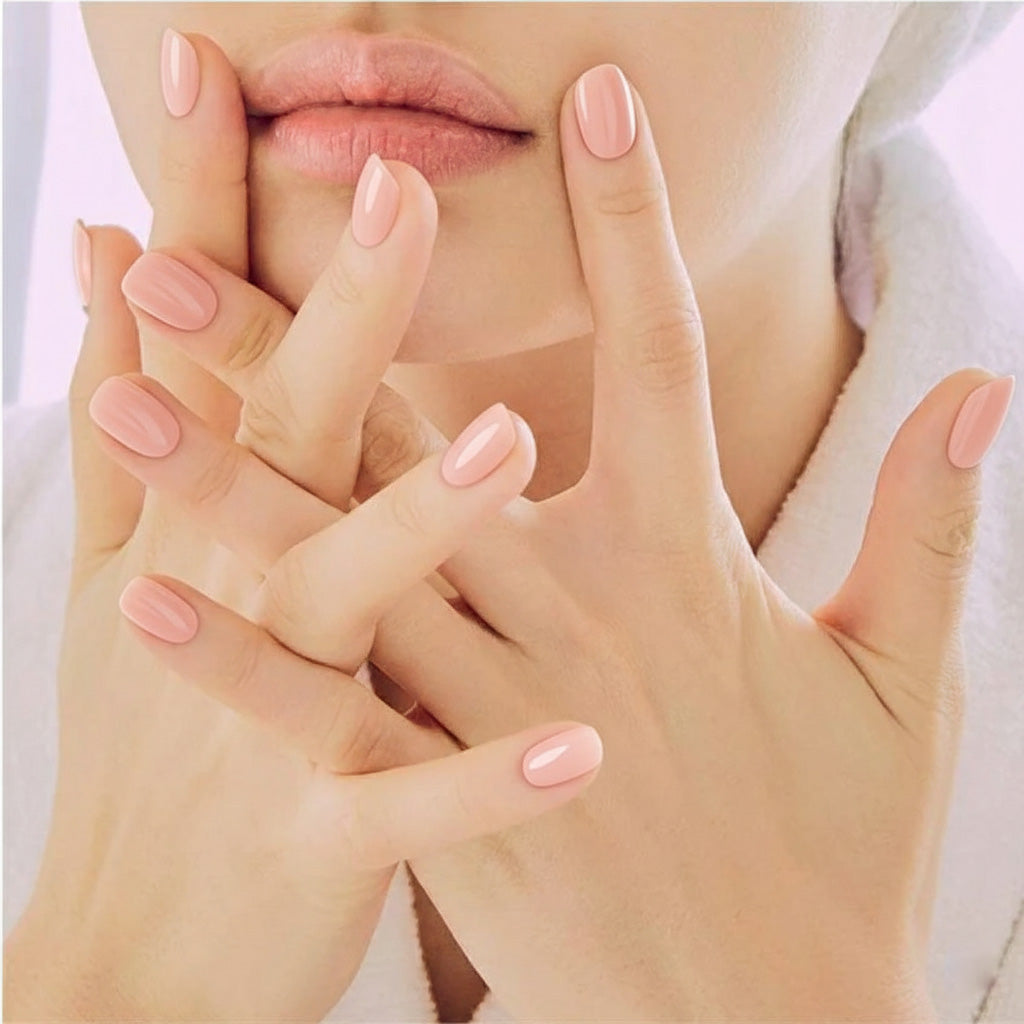 Basic Holiday NC240134 Main image